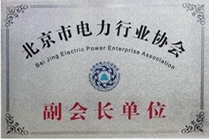 赛虎网安荣誉资质4：北京市电力行业协会副会长单位